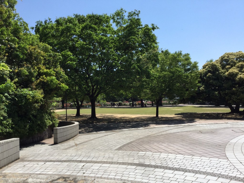 広場