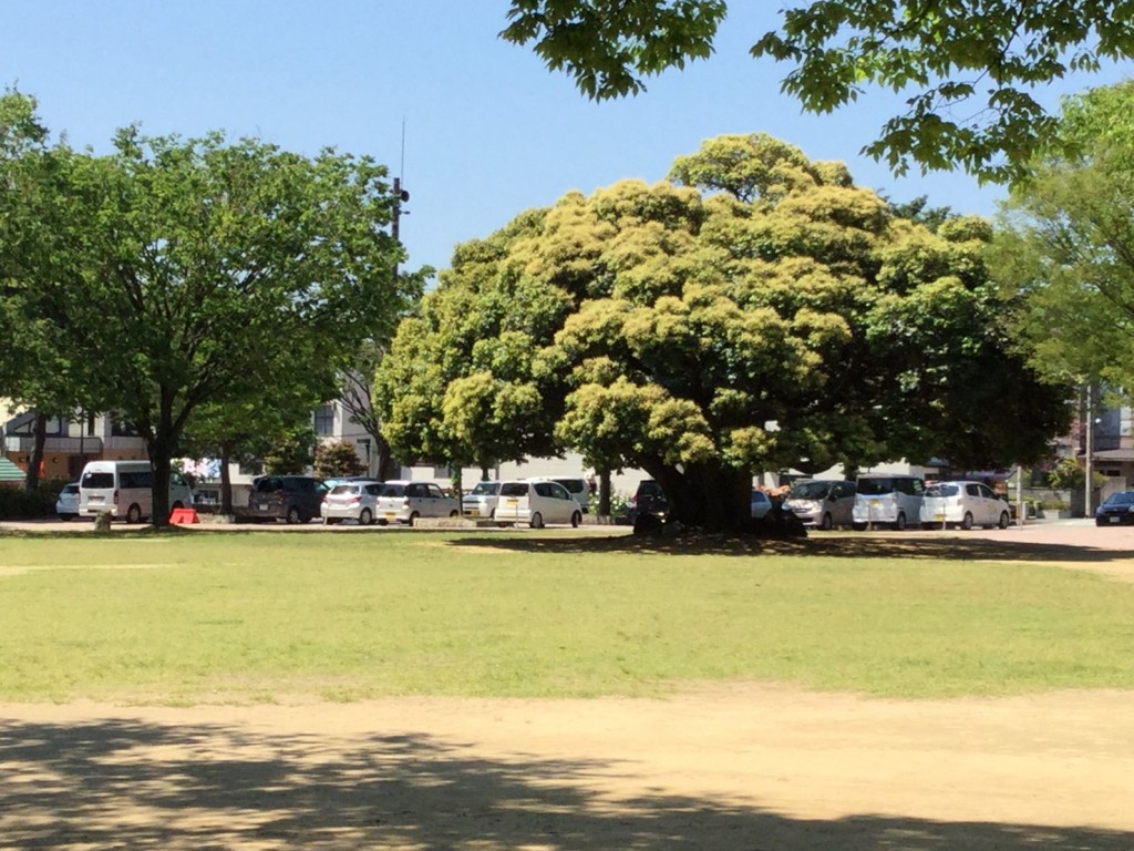 広場