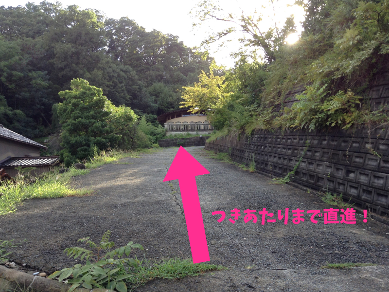愛染寺へ登る