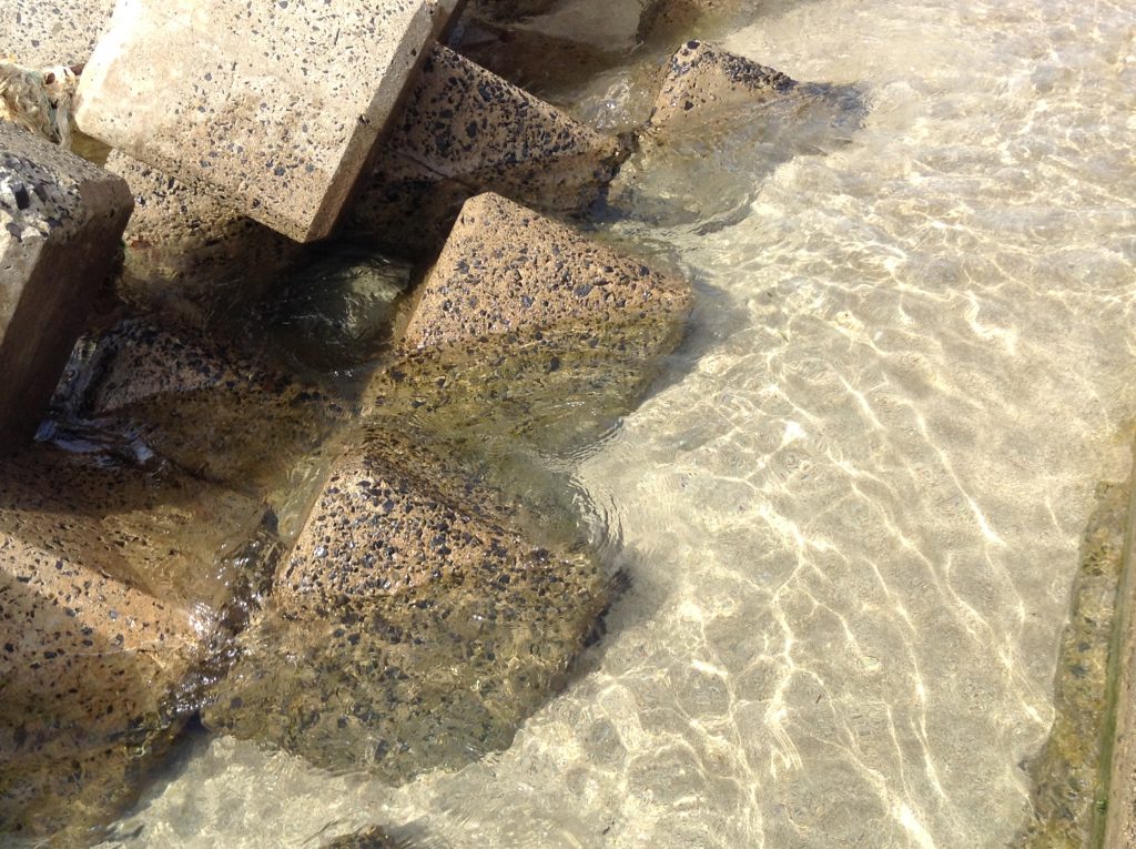 水がきれい