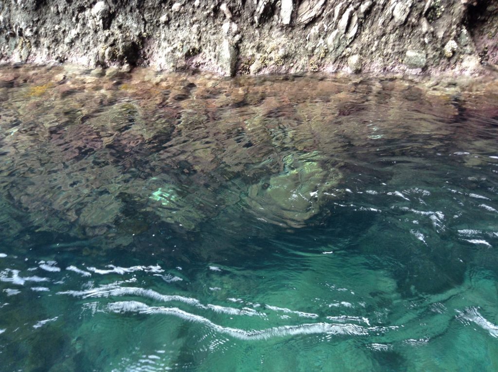 海水