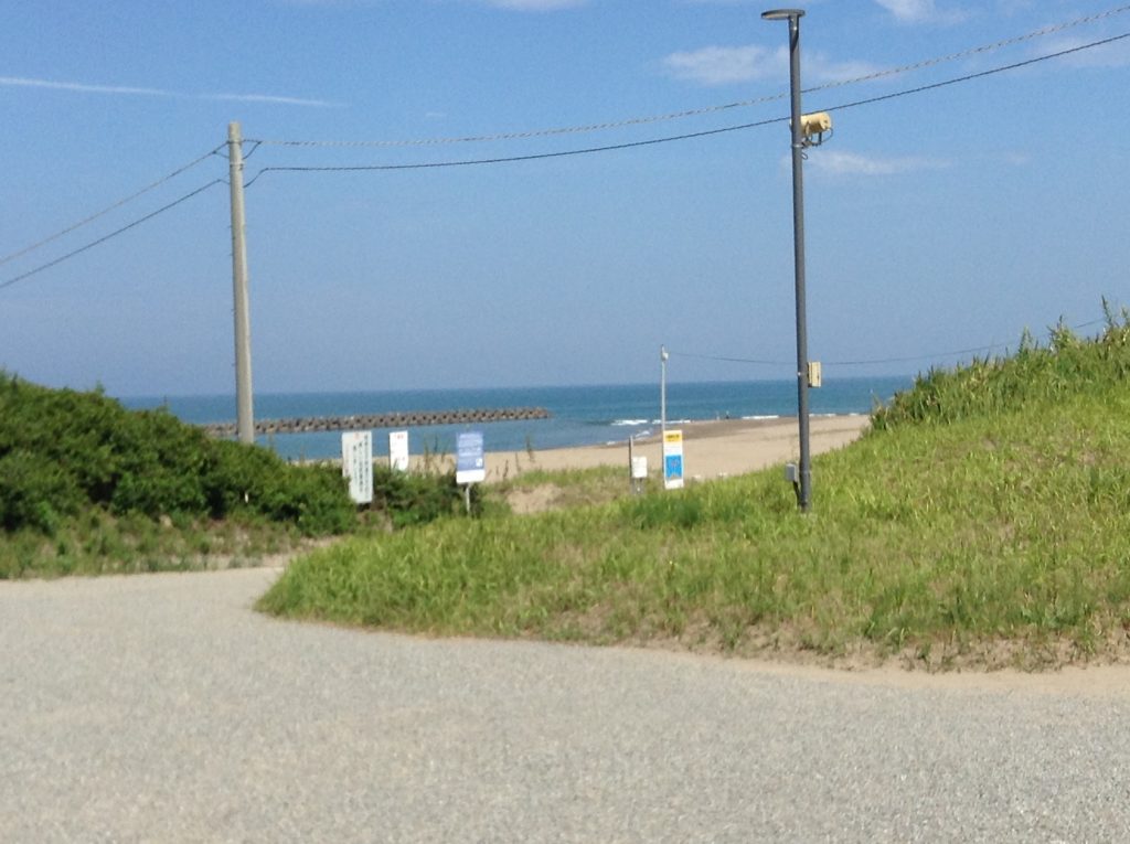 海岸沿いへ