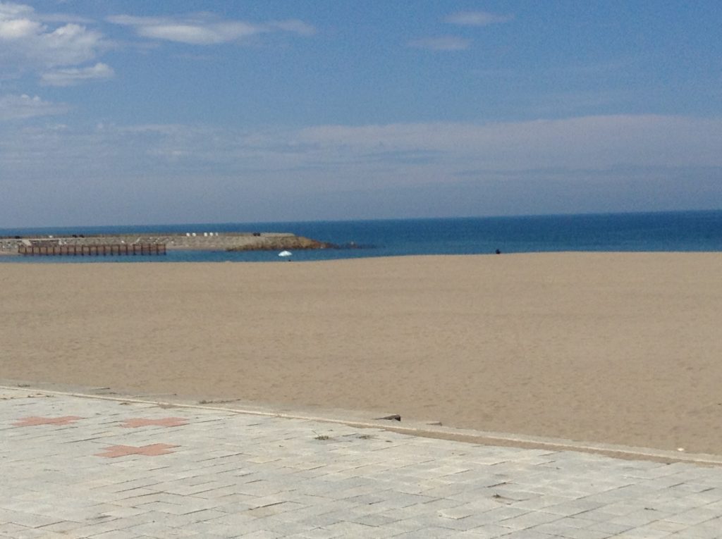 海