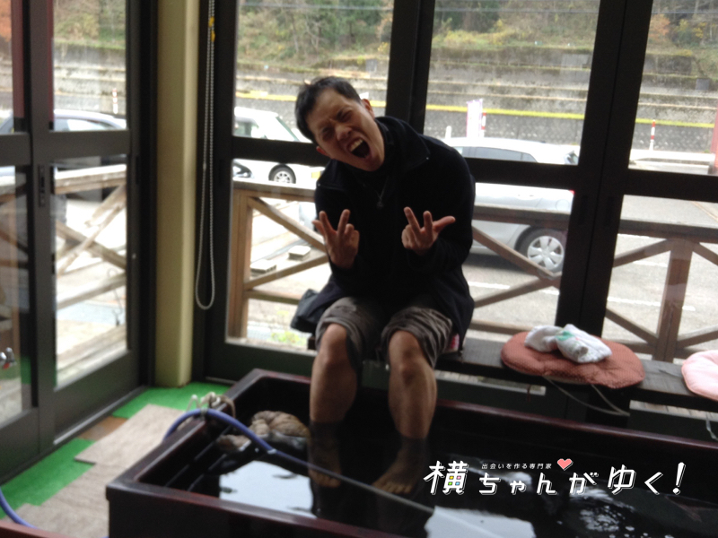 杉