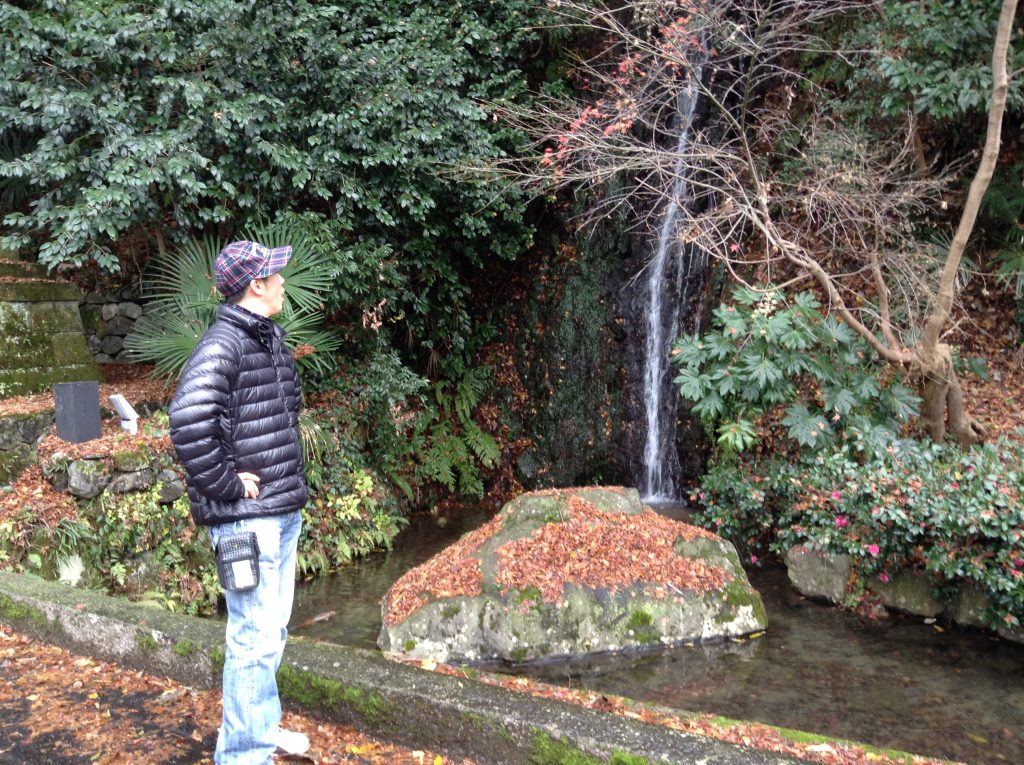 滝を見る