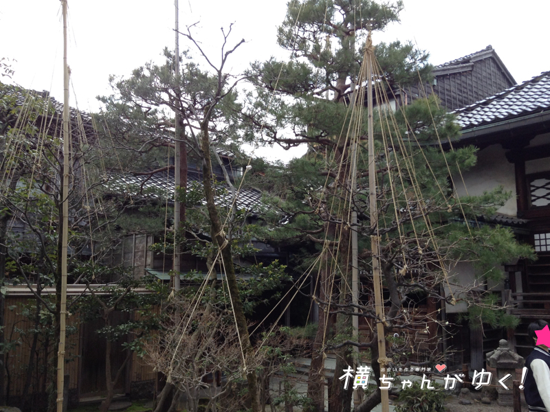 忍者寺3