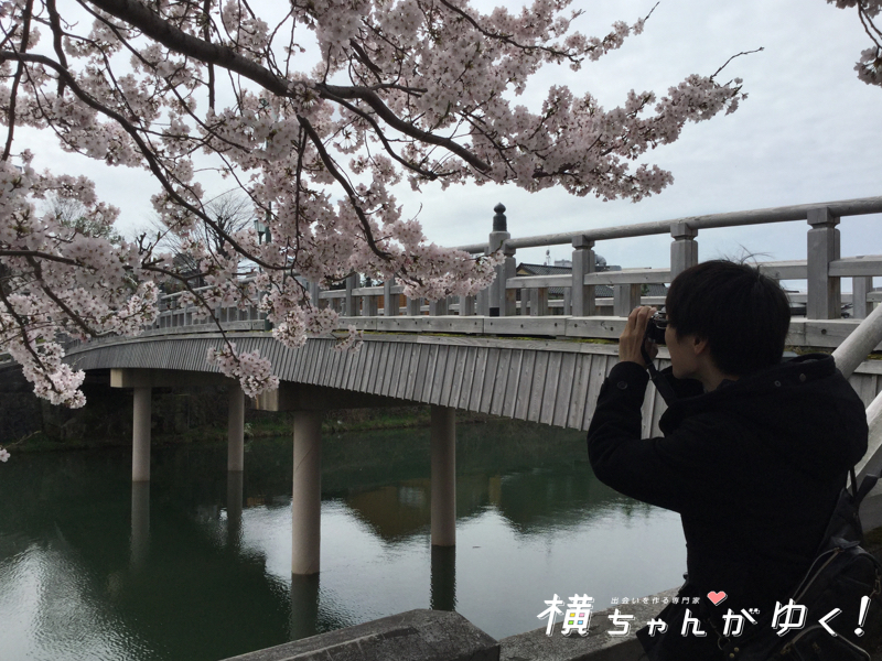 お花見8
