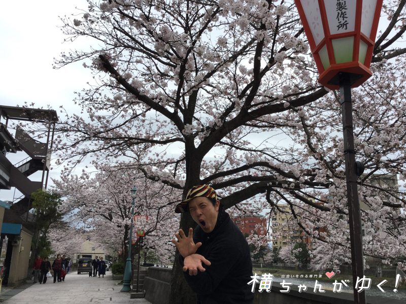 お花見4