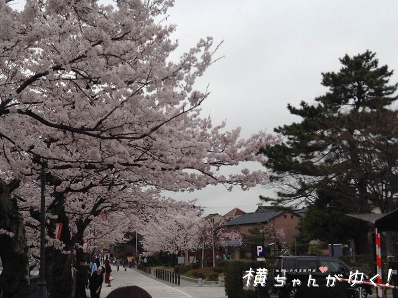お花見30