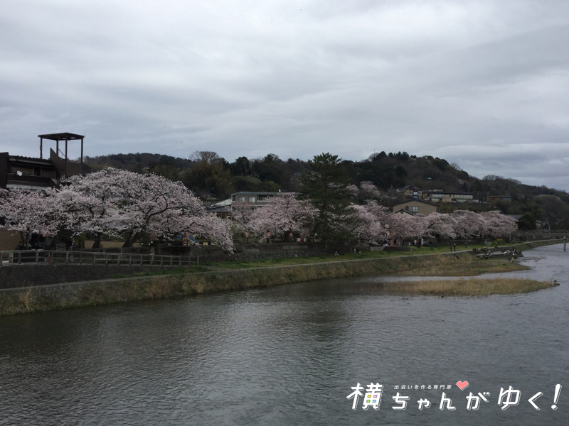 お花見2