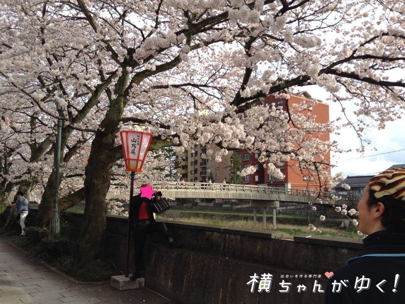 お花見15