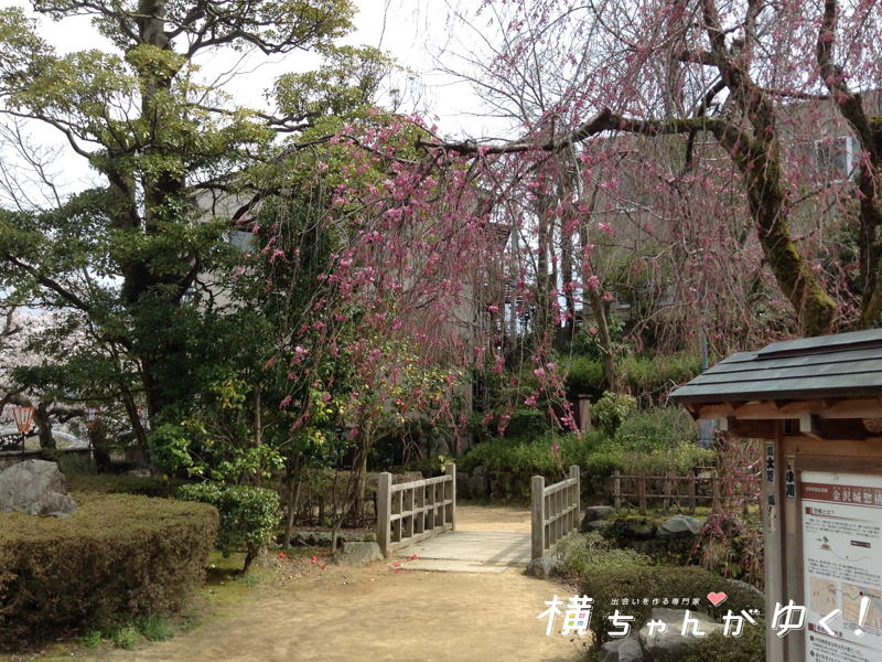 お花見9