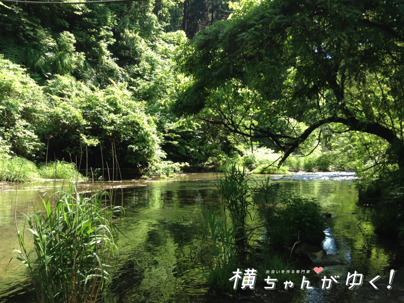宮島峡19