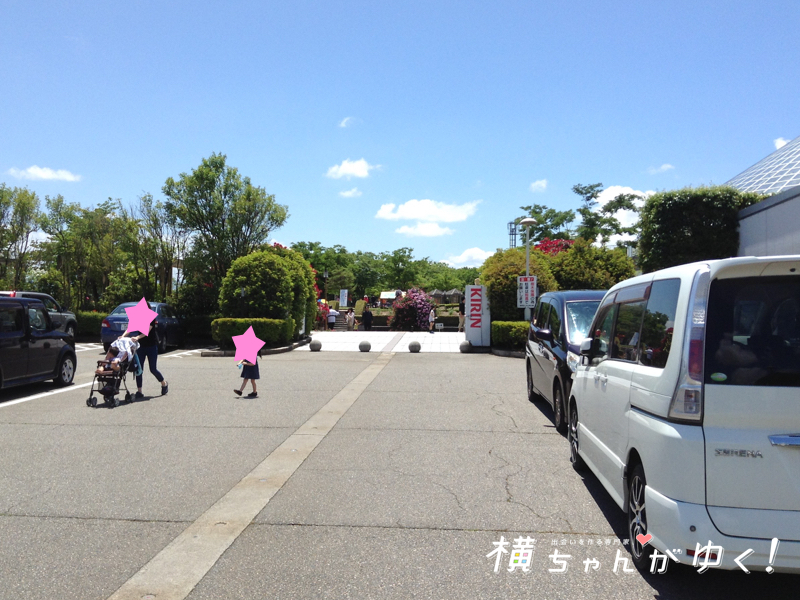 おとぎの森1