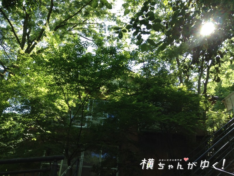 宮島峡6