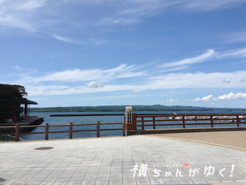 和倉22