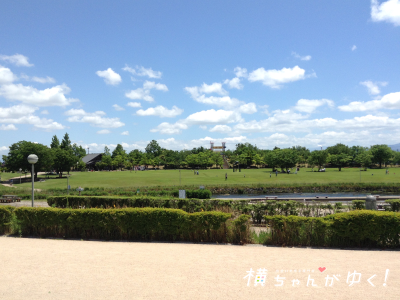 おとぎの森4