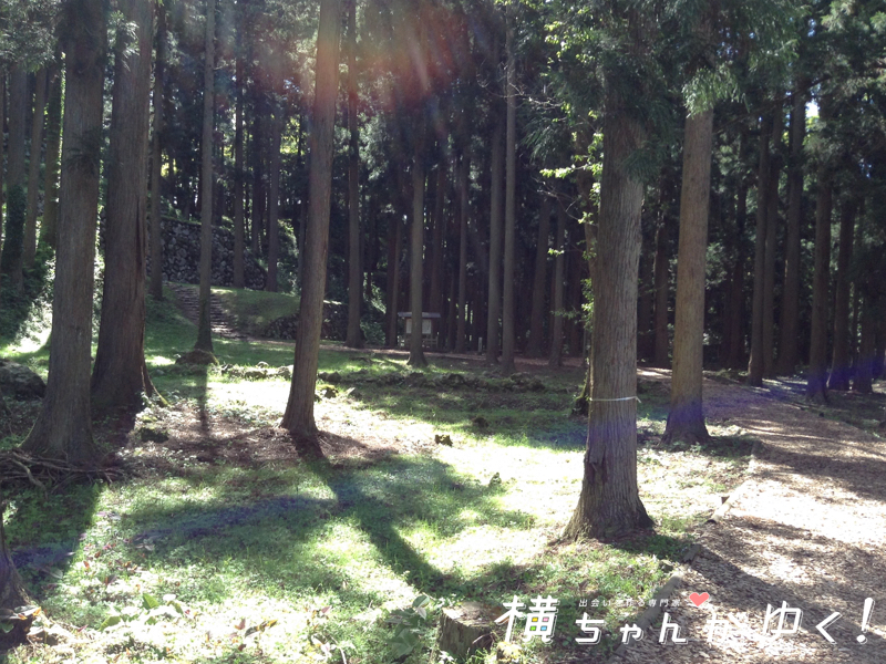 七尾城7