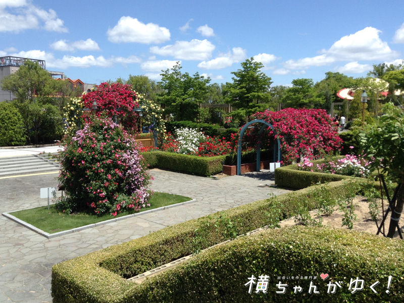 おとぎの森21