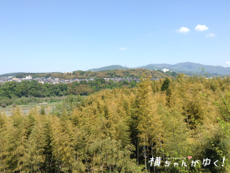 内川スポーツ広場1