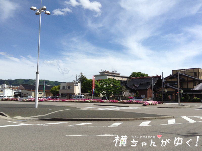 食彩13