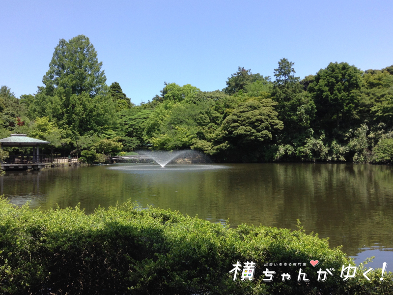 高岡古城公園13