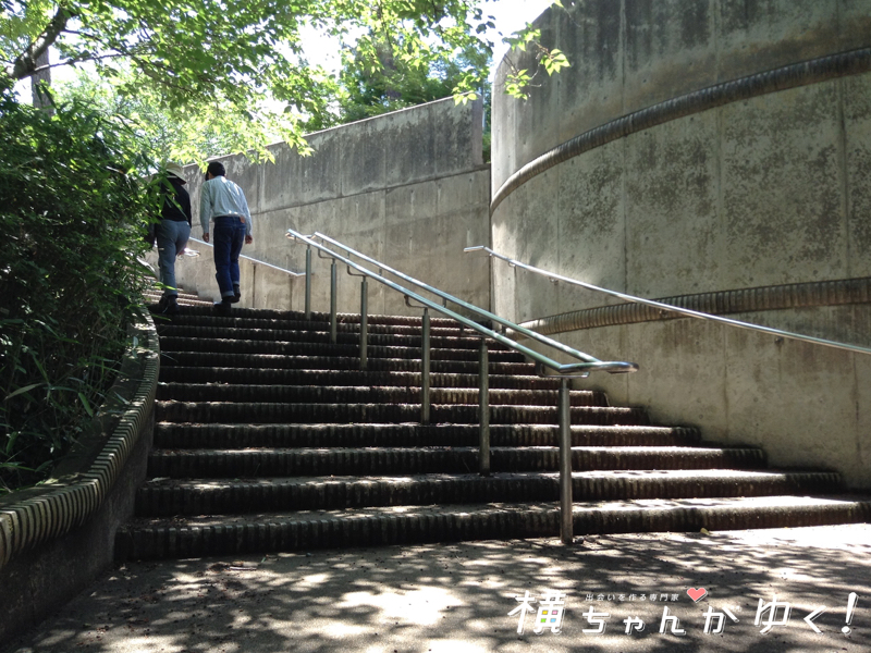 高岡古城公園4