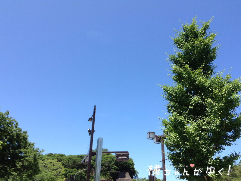 まちのり空