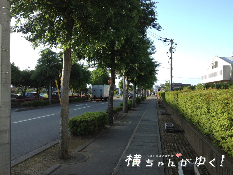 ハイカラ1