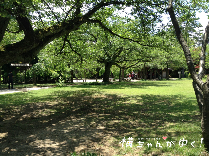 高岡古城公園とは