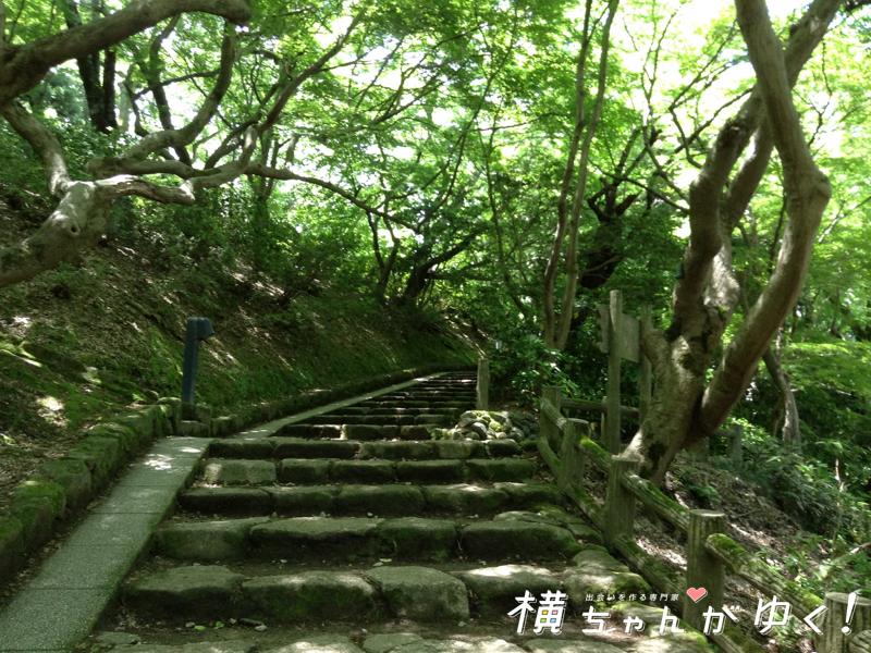 高岡古城公園11
