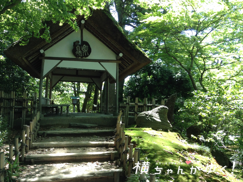 兼六園11