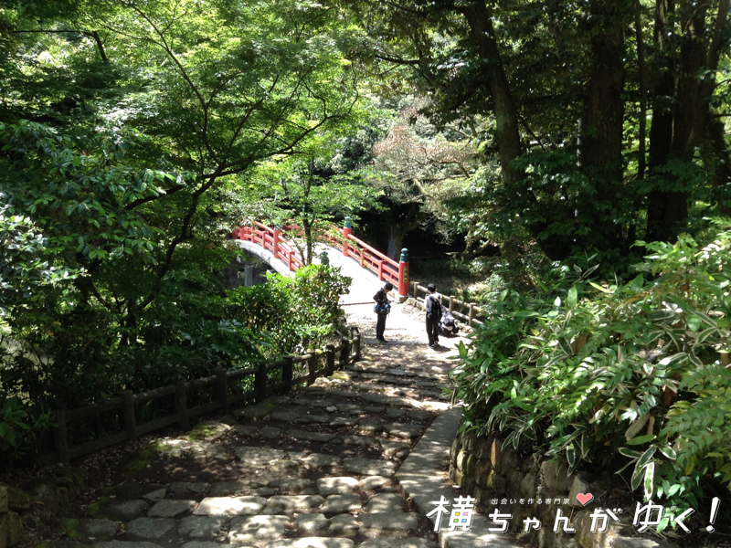 高岡古城公園10