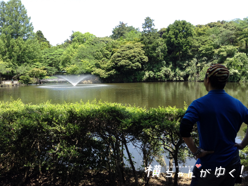 高岡古城公園14