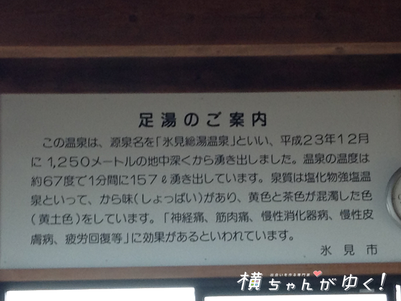 氷見9
