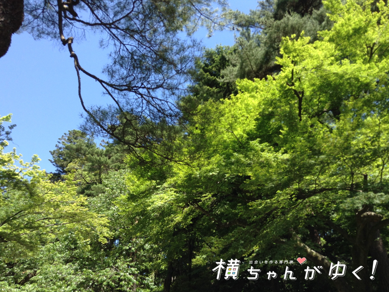 兼六園3