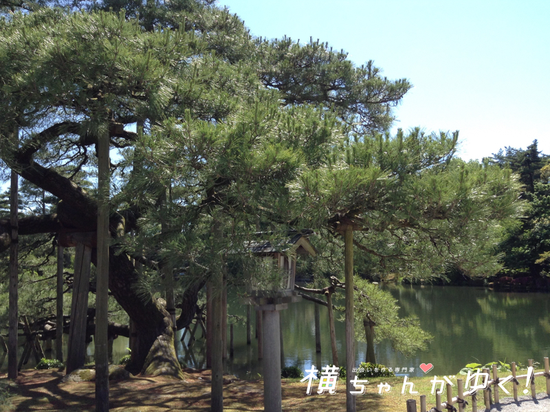 兼六園8