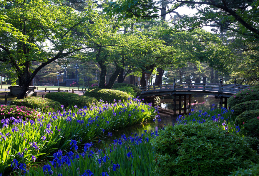 兼六園夏