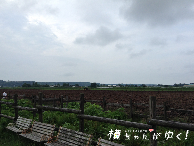 牧草地