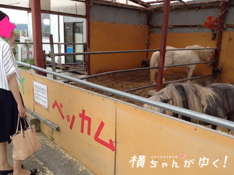ホリ牧場21