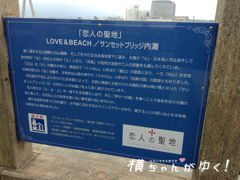 説明