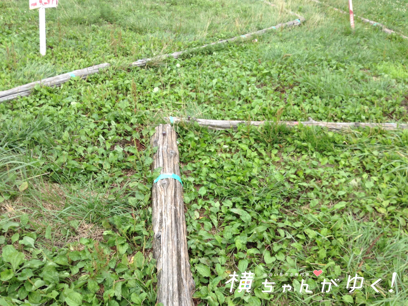 ホリ牧場17