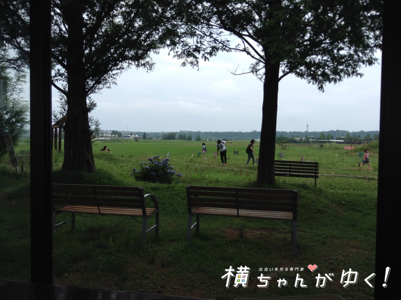 ホリ牧場15