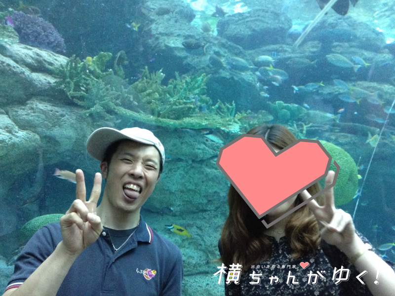 名古屋 水族館 デート