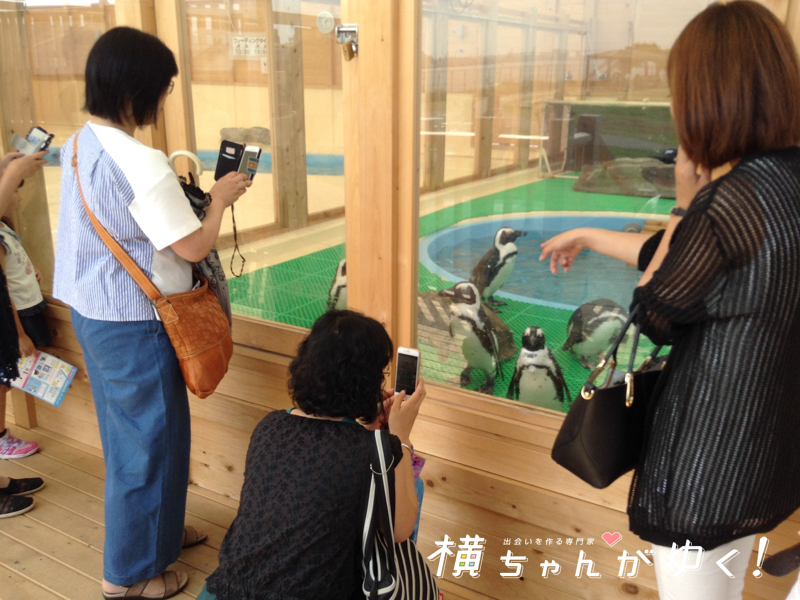 名古屋港水族館25