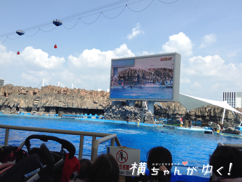 名古屋港水族館20