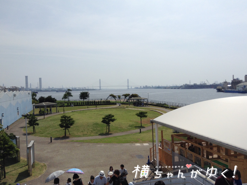 名古屋港水族館23