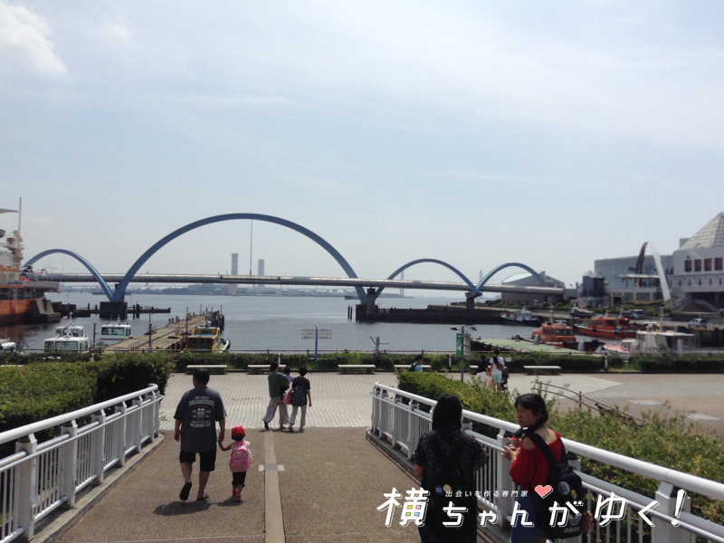 名古屋港水族館4