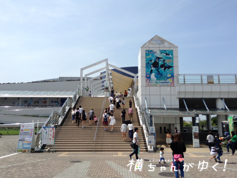 名古屋港水族館
