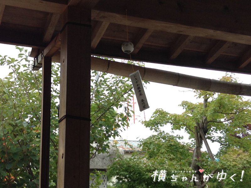 水舟亭17